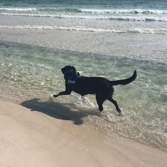 Meet your Posher, Karie - Picture 1 of 1